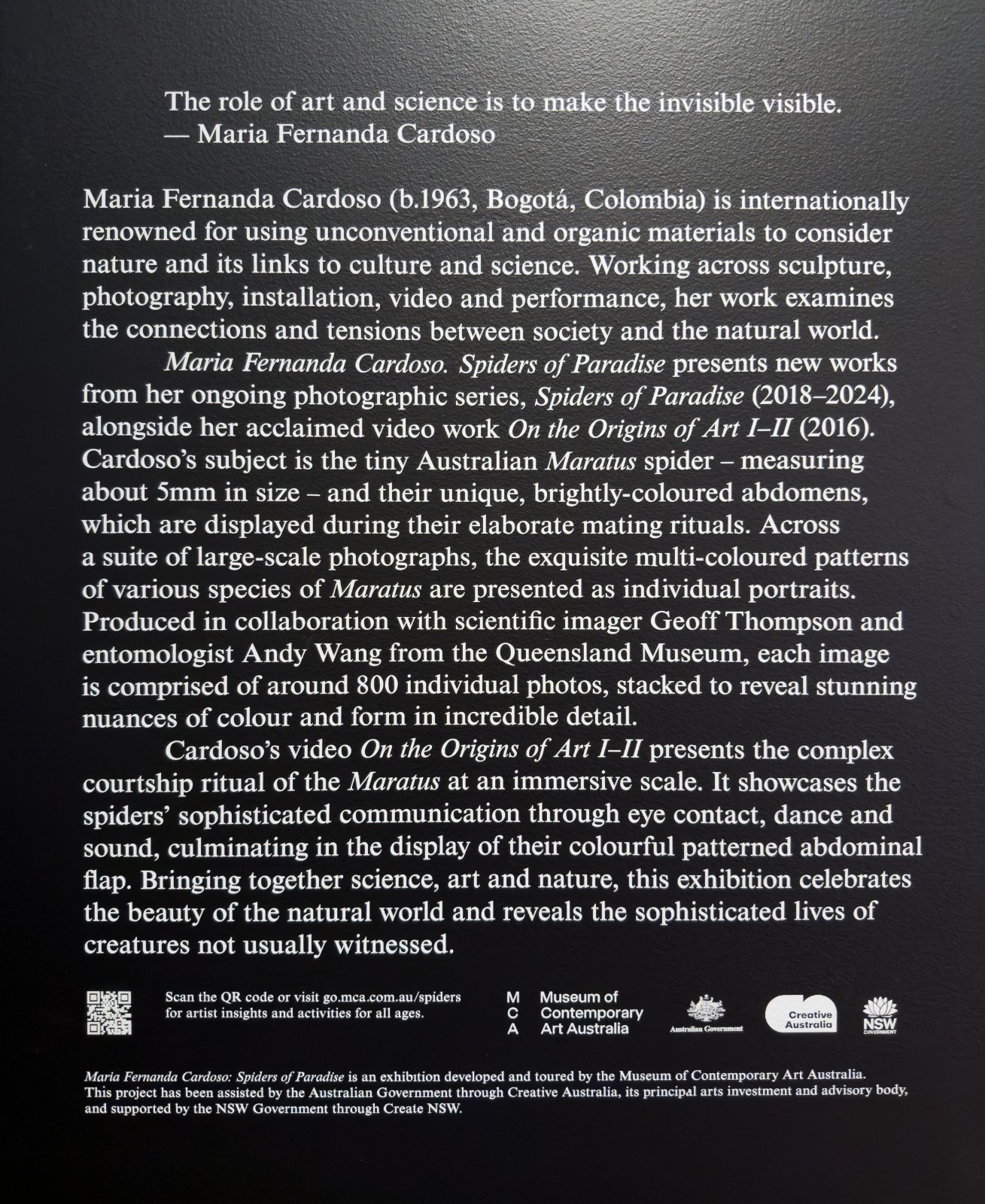 The exhibition text for Maria Fernanda Cardoso: Spiders of Paradise, white on a black wall