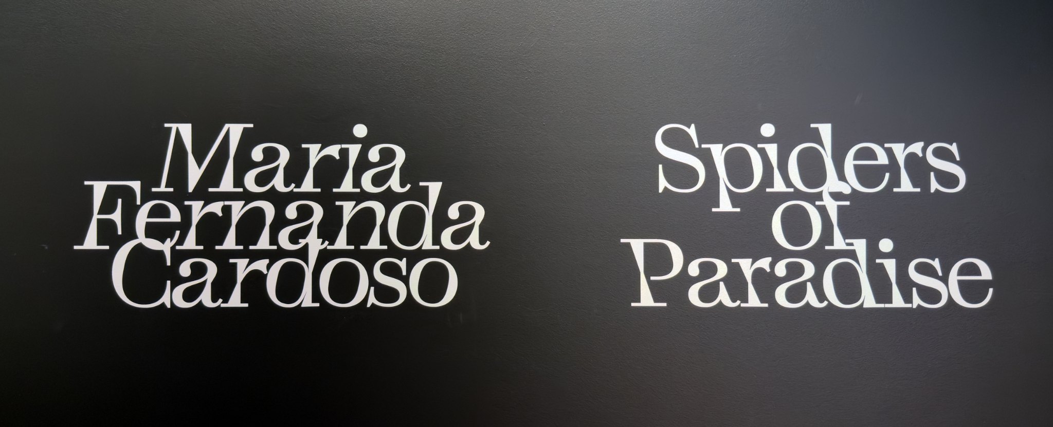 The title wall of Maria Fernanda Cardoso: Spiders of Paradise, white lettering on black, at the Canberra Museum and Gallery